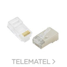 GAESTOPAS - CONECTOR MACHO UTP CAT. 6