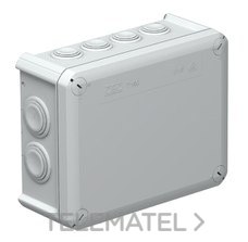 OBO-BETTERMANN - CAJA ESTANCA LH 190X150X77MM C/CONOS