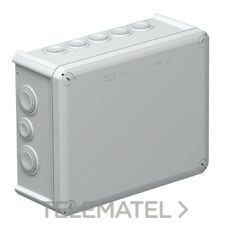 OBO-BETTERMANN - CAJA ESTANCA LH 240X190X95MM C/CONOS