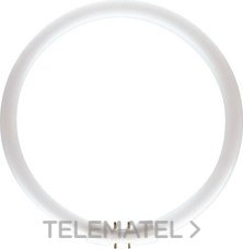 PHILIPS - TUBO FLUOR. T5 22W 830 CIRCULAR
