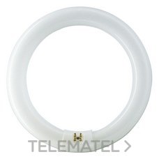 PHILIPS - TUBO FLUORESCENTE 22W 865 CIRCULAR