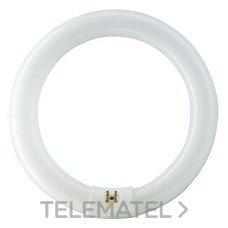 PHILIPS - TUBO FLUORESCENTE 32W 865 CIRCULAR