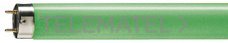 PHILIPS - TUBO FLUORESCENTE T8 18W VERDE