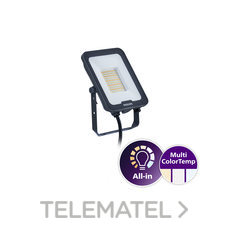 PHILIPS - PROYECTOR IP65 LED 50W CCT GRIS