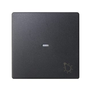 SIMON - TECLA VISOR+LUZ 82 GRAFITO